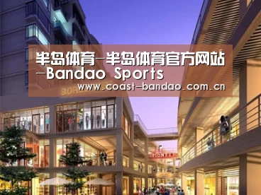 案例展示一