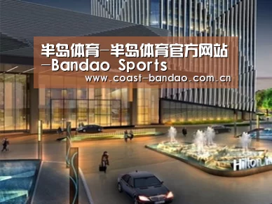 案例展示二