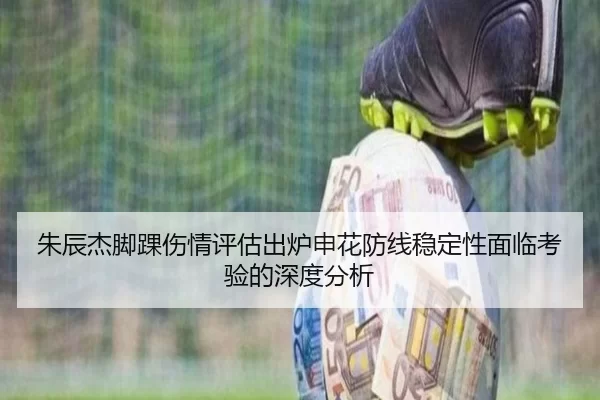 朱辰杰脚踝伤情评估出炉申花防线稳定性面临考验的深度分析