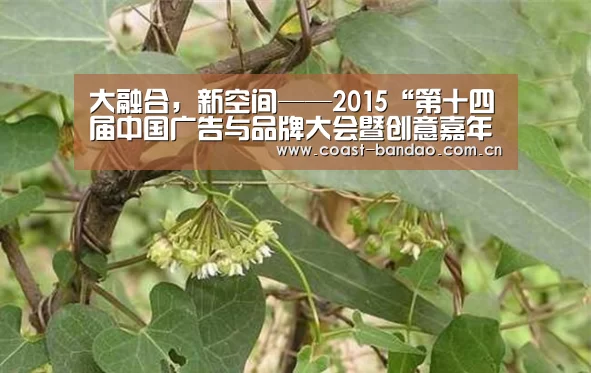 大融合，新空间——2015“第十四届中国广告与品牌大会暨创意嘉年华”圆满闭幕_半
